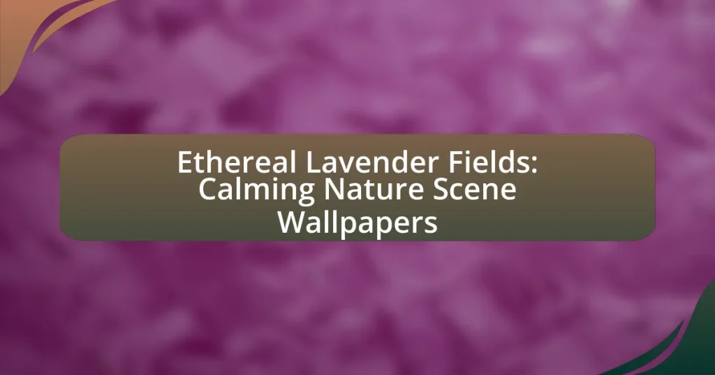 Ethereal Lavender Fields: Calming Nature Scene Wallpapers
