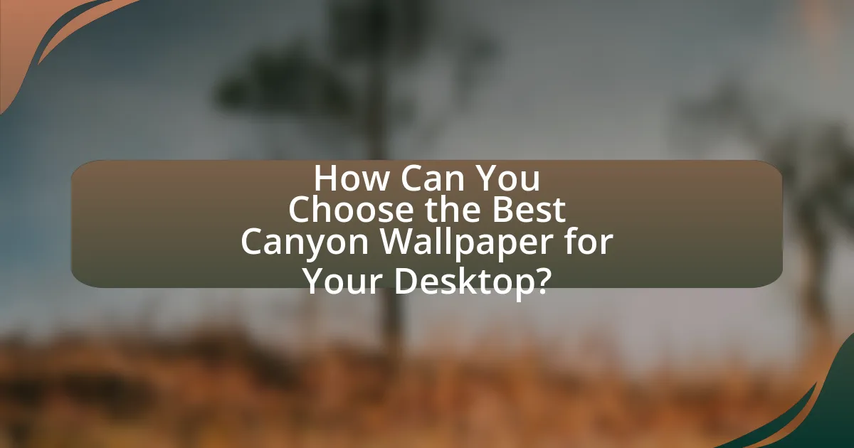 How Can You Choose the Best Canyon Wallpaper for Your Desktop?