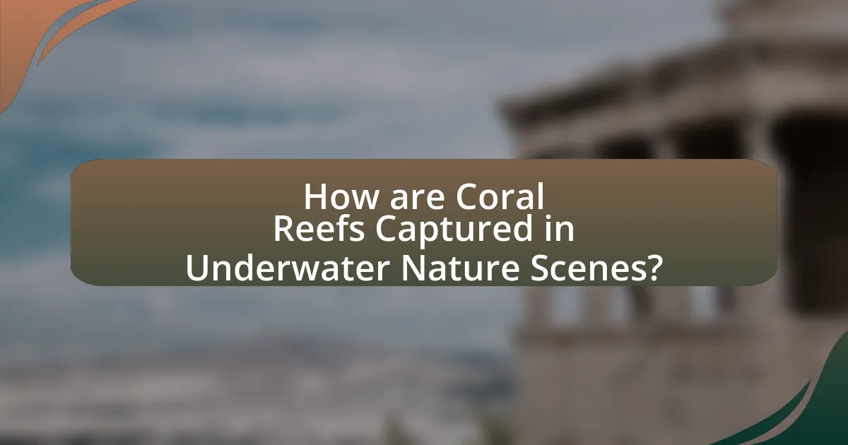 How are Coral Reefs Captured in Underwater Nature Scenes?