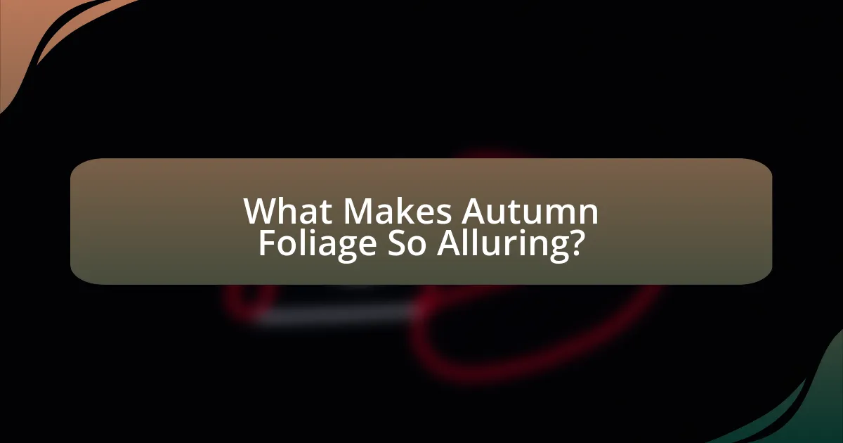 What Makes Autumn Foliage So Alluring?