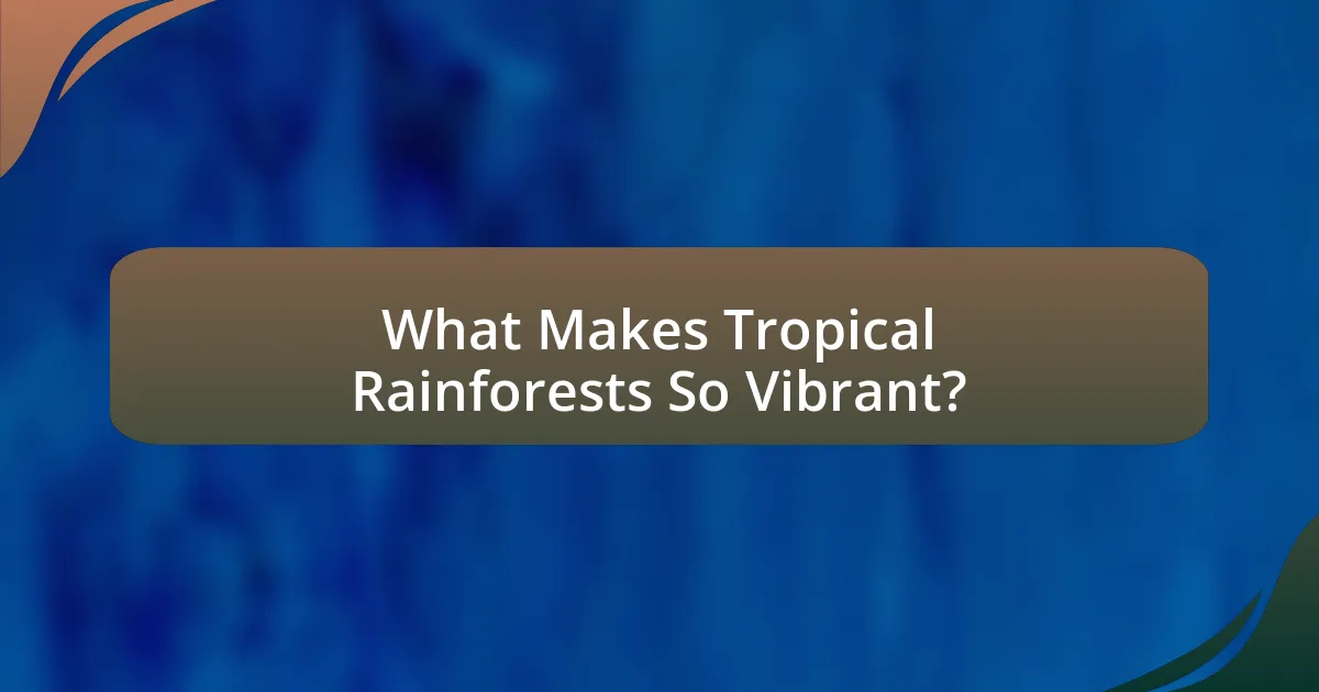 What Makes Tropical Rainforests So Vibrant?