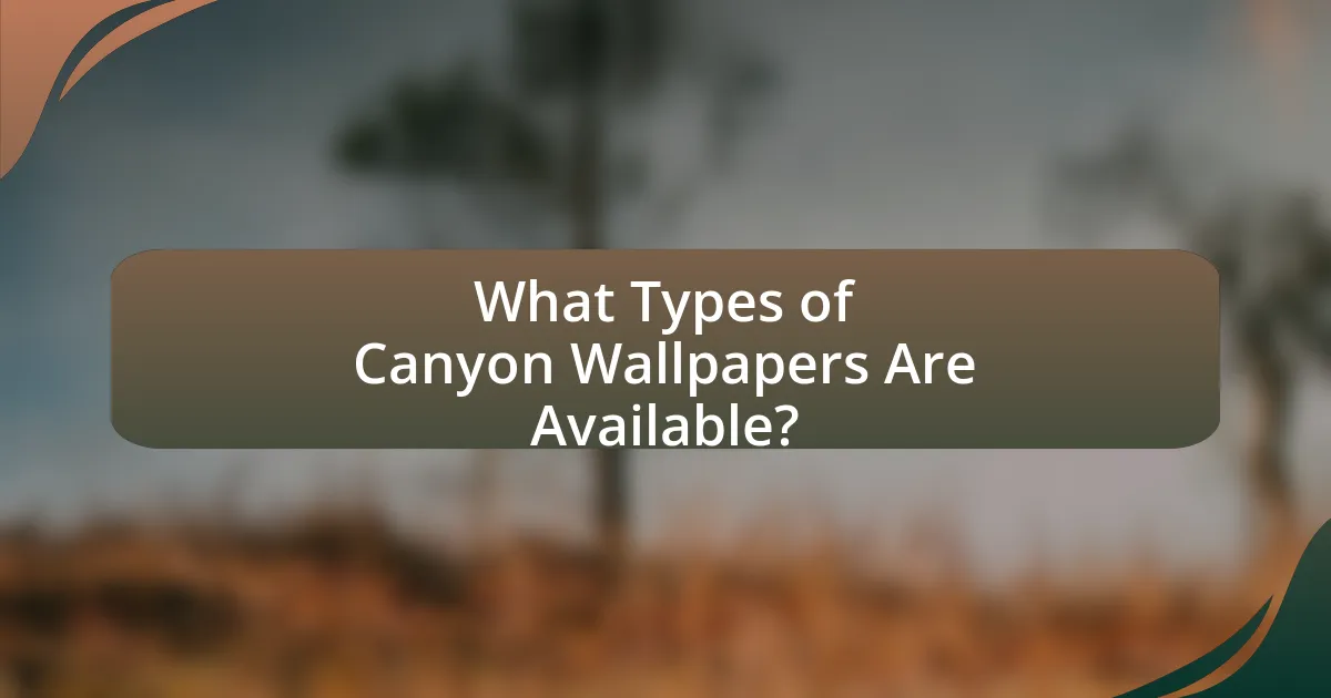 What Types of Canyon Wallpapers Are Available?