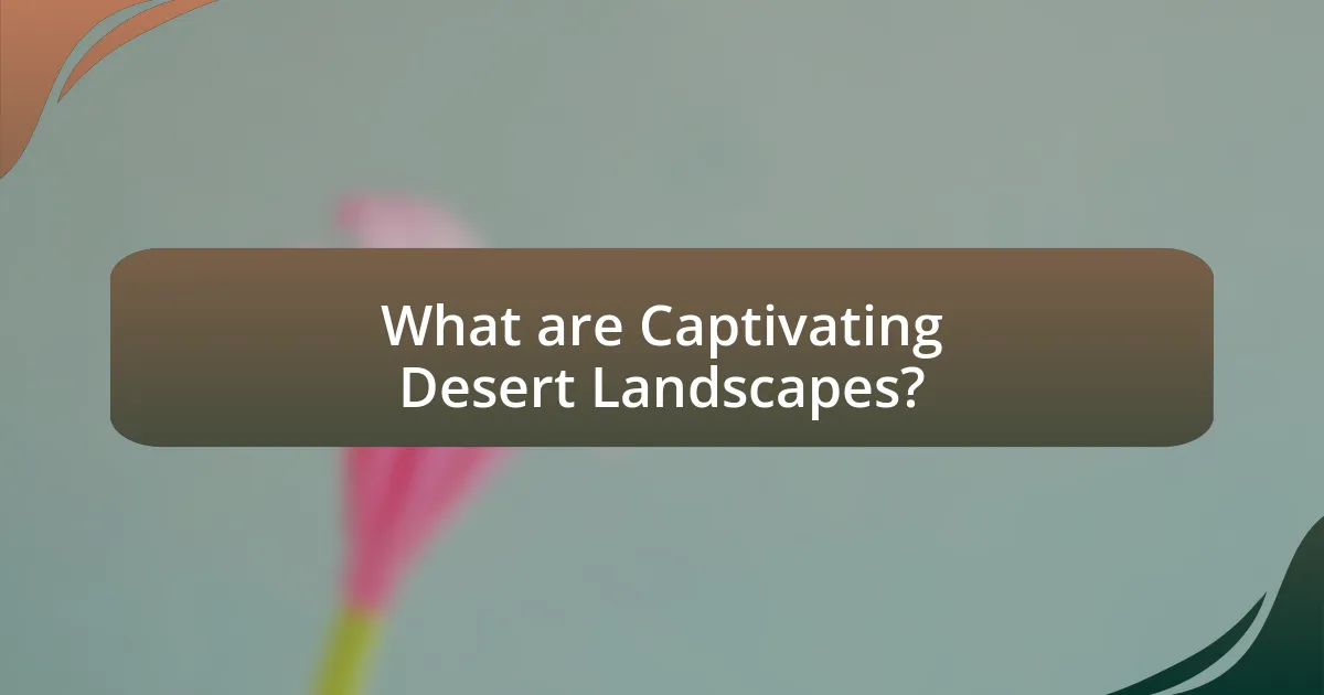 What are Captivating Desert Landscapes?