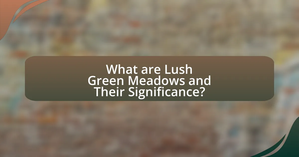 What are Lush Green Meadows and Their Significance?