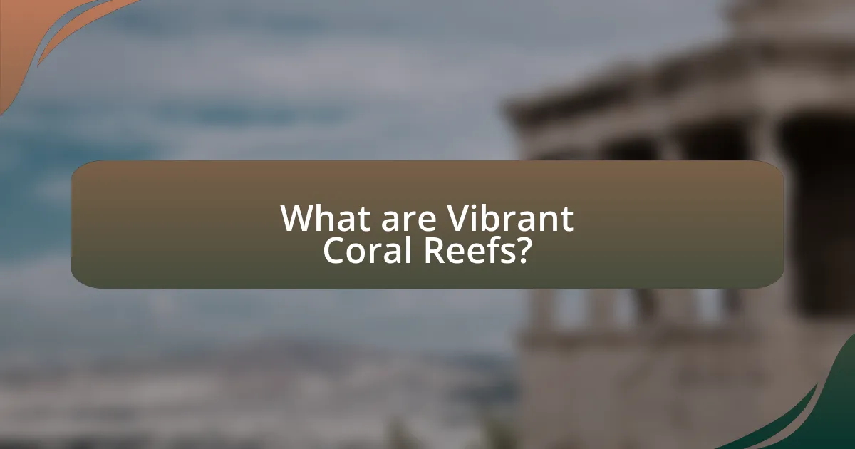 What are Vibrant Coral Reefs?