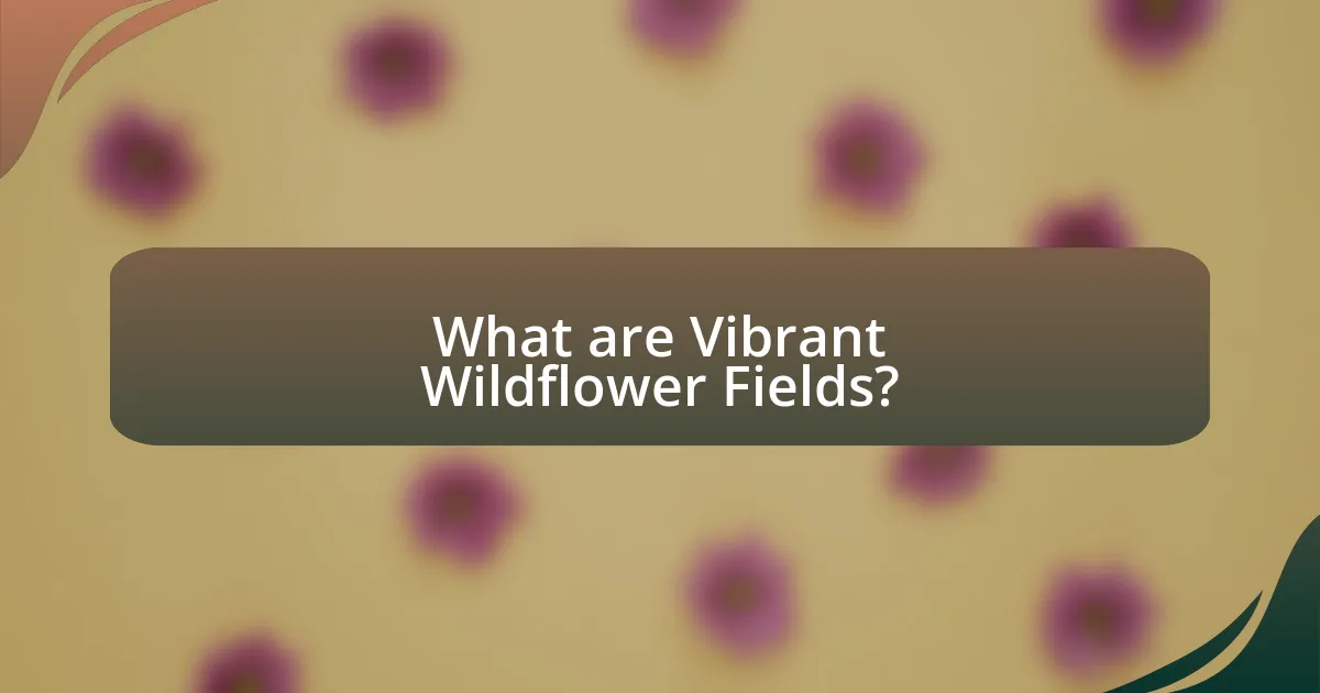 What are Vibrant Wildflower Fields?