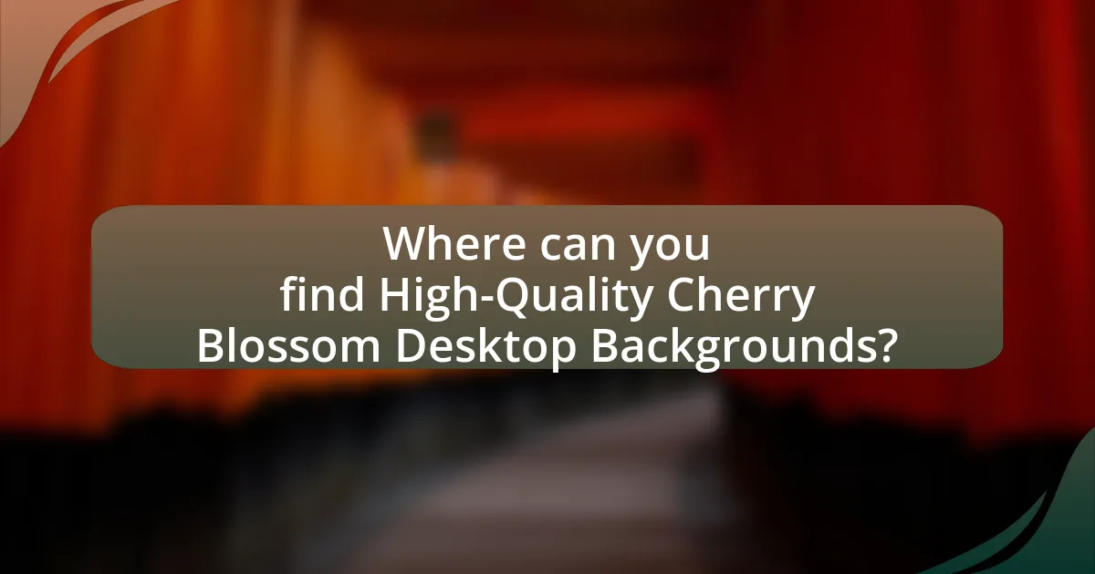 Where can you find High-Quality Cherry Blossom Desktop Backgrounds?